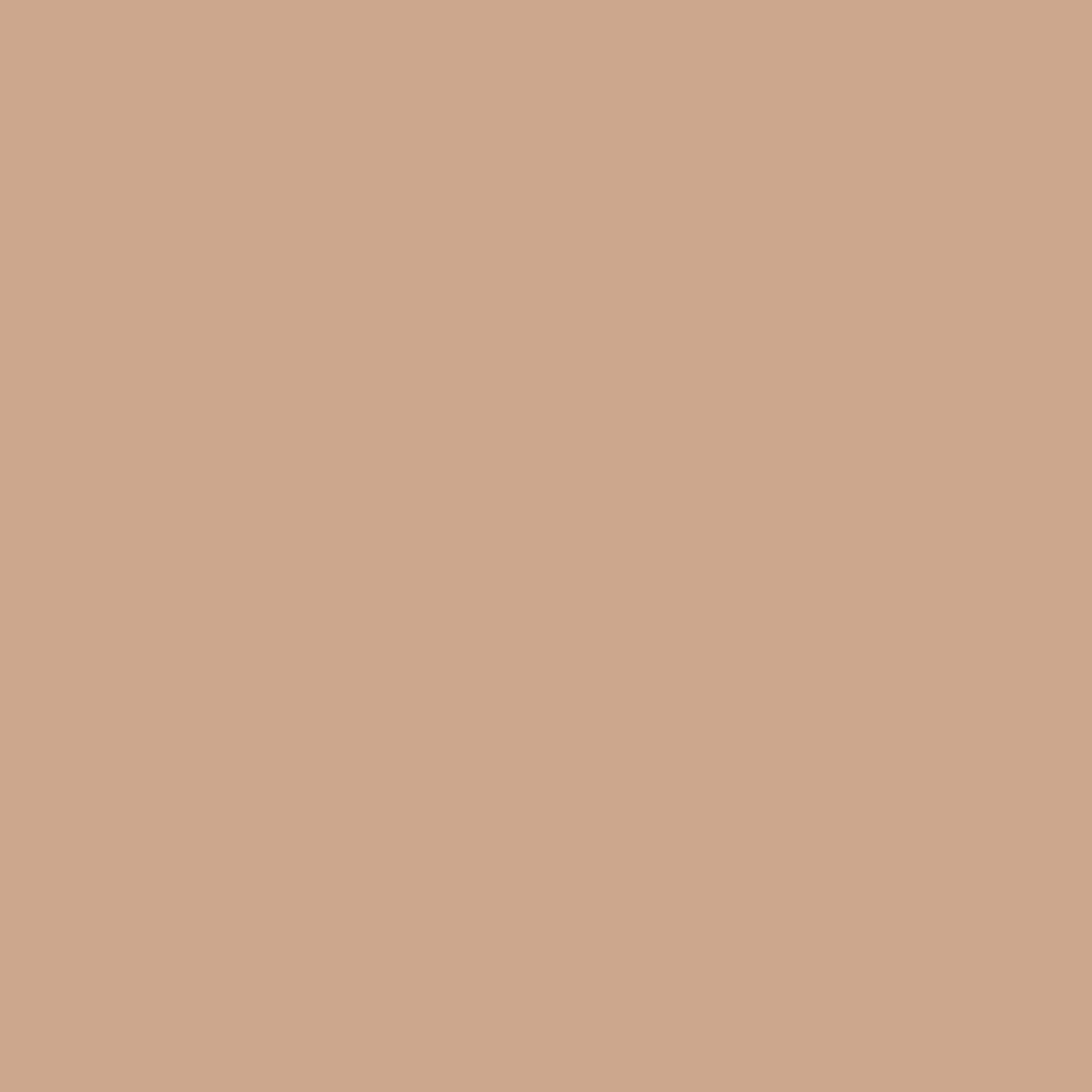 Cocoa Brown ProLine – Rit Dye